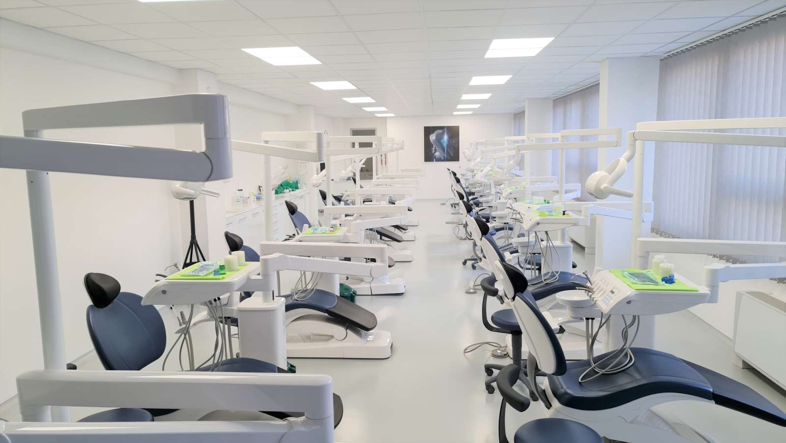 Upis Archives - Stomatološki fakultet sa stomatološkim kliničkim centrom